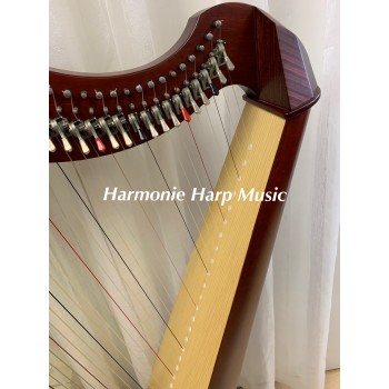SOLD - 2nd Hand Salvi Mia 34 Strings SOLD - 2nd Hand Salvi Mia 34 Strings